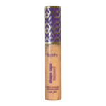 كونسيلر فانيتي377 (Fanity Concealer)